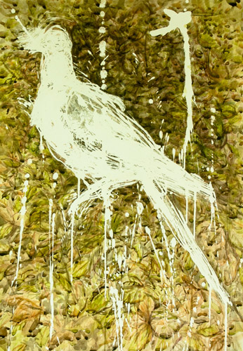 Untitled II (passenger pigeon)