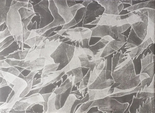 Flock