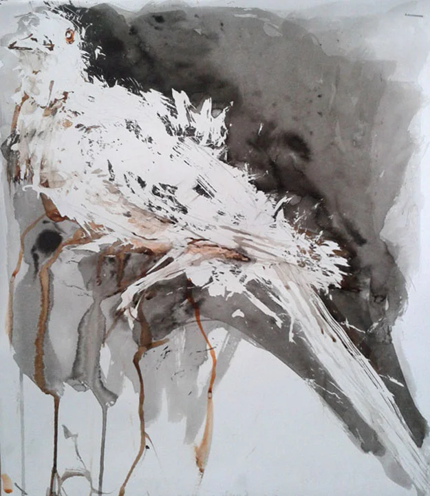 Passenger pigeon