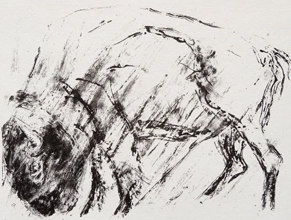 Bison