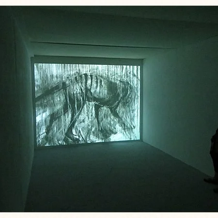 The Extinction of the Image: Caged