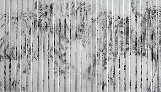 Iteration (Tiger Caged)