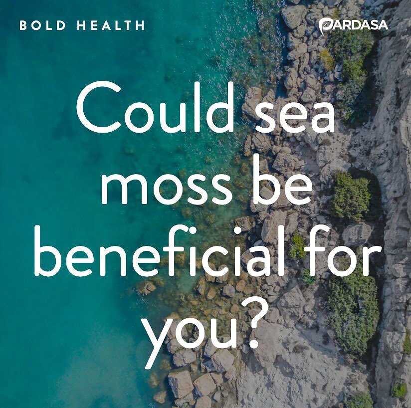 Talking all things sea moss in today&rsquo;s article&hellip;.

What exactly is it and how might it be a beneficial addition to your diet? 

Link to the article in my bio! 

#seamoss #seamossbenefits #naturalhealth #alternativewellness #naturalandorga