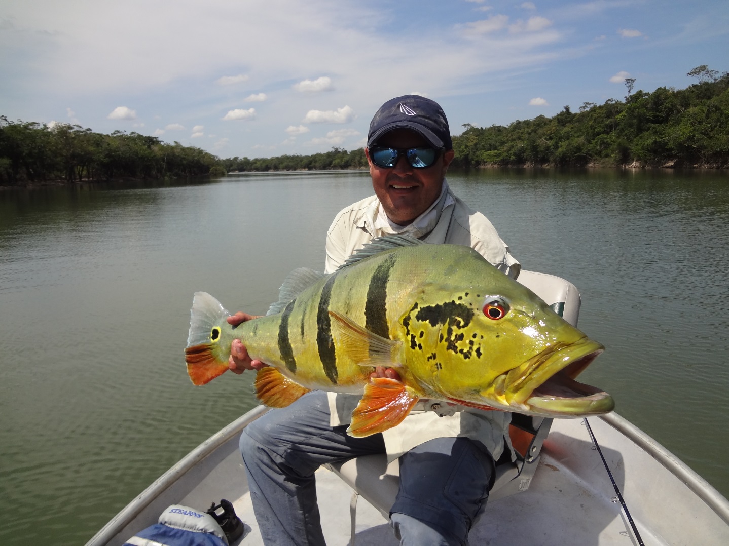 Alejandro Diaz owner of Tucunare Lodge with a beautiful Three Bar Cinchado - Peacock Bass (Cichla Temensis)