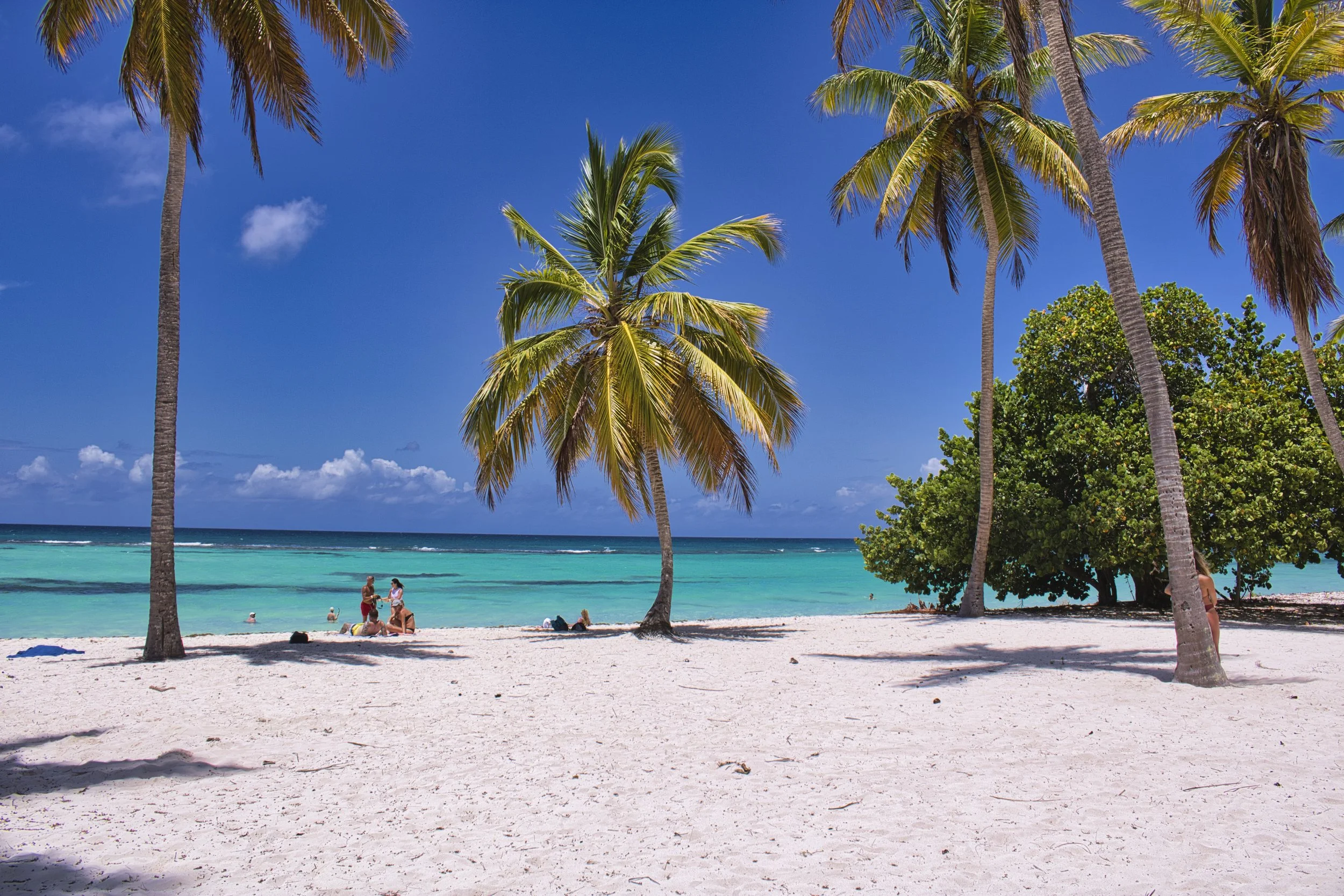 mrpixel000-beach-6517214.jpg