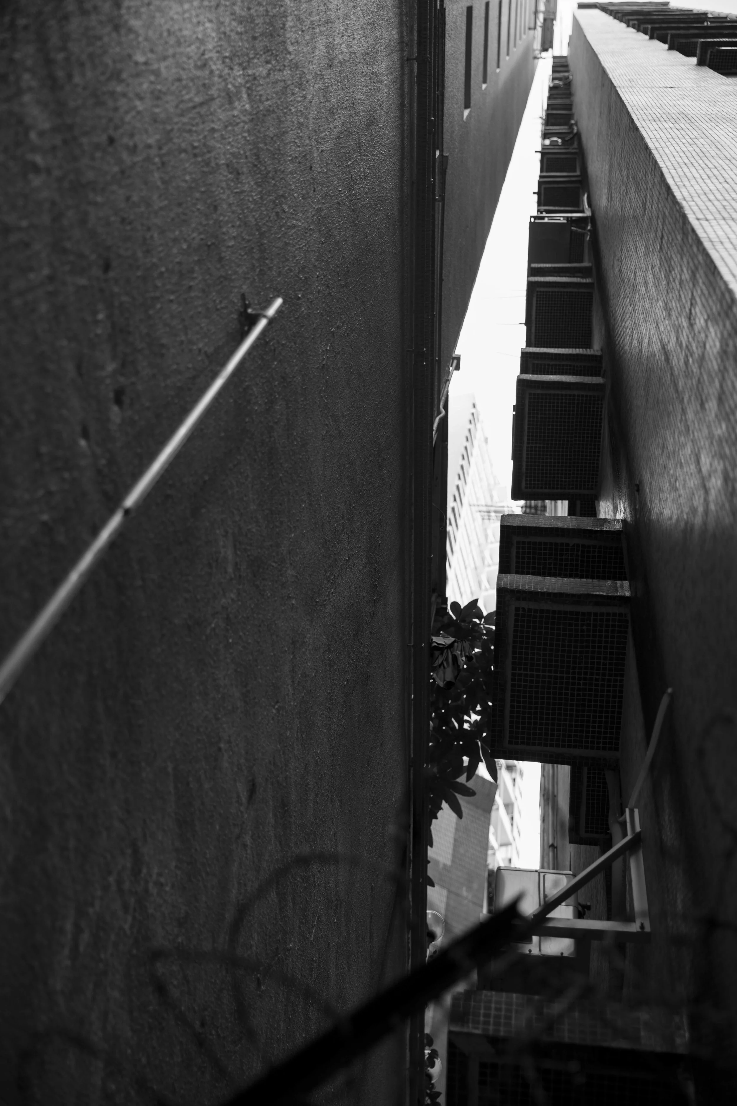 AWieske_PHOT114_SP14_Asingment#5-20.jpg
