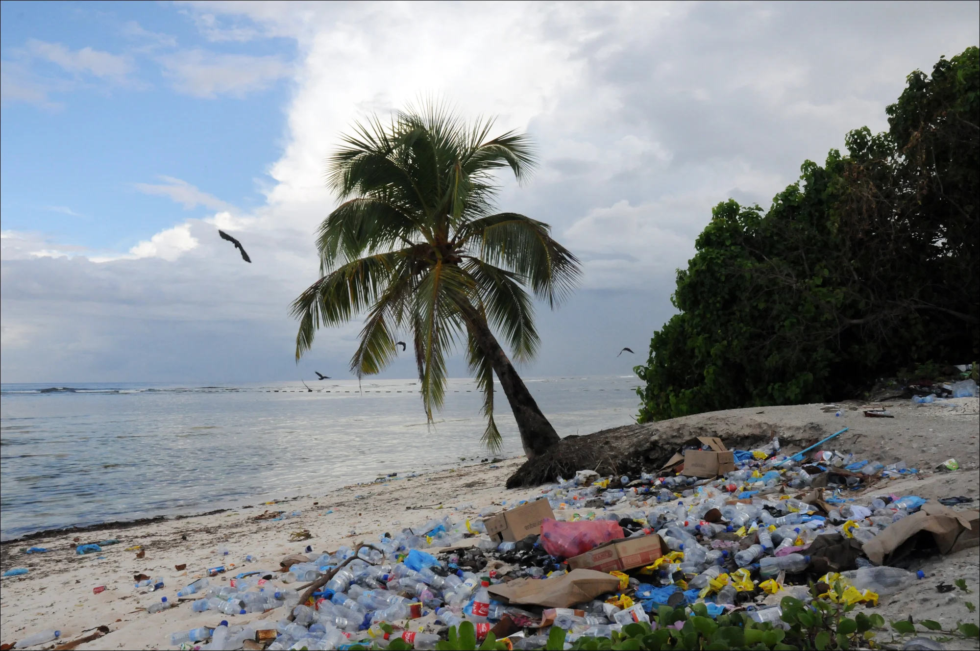 refuse study, Maldives