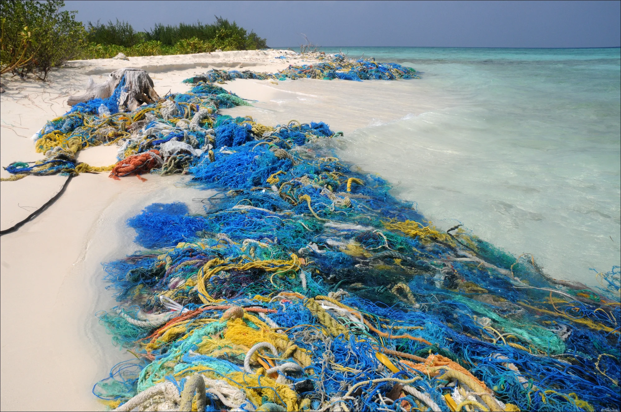 refuse study, Maldives
