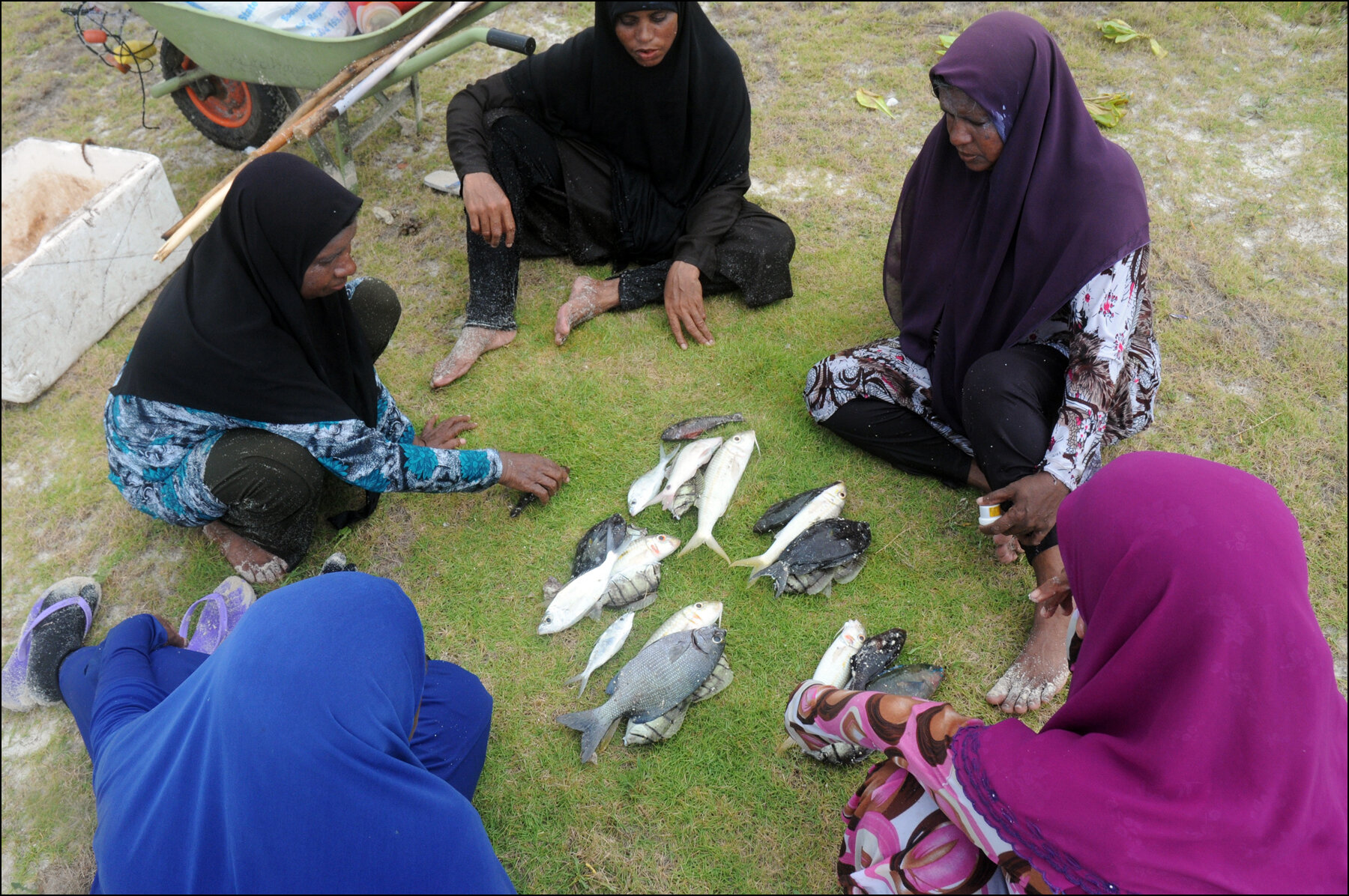 Omadhoo, Maldives