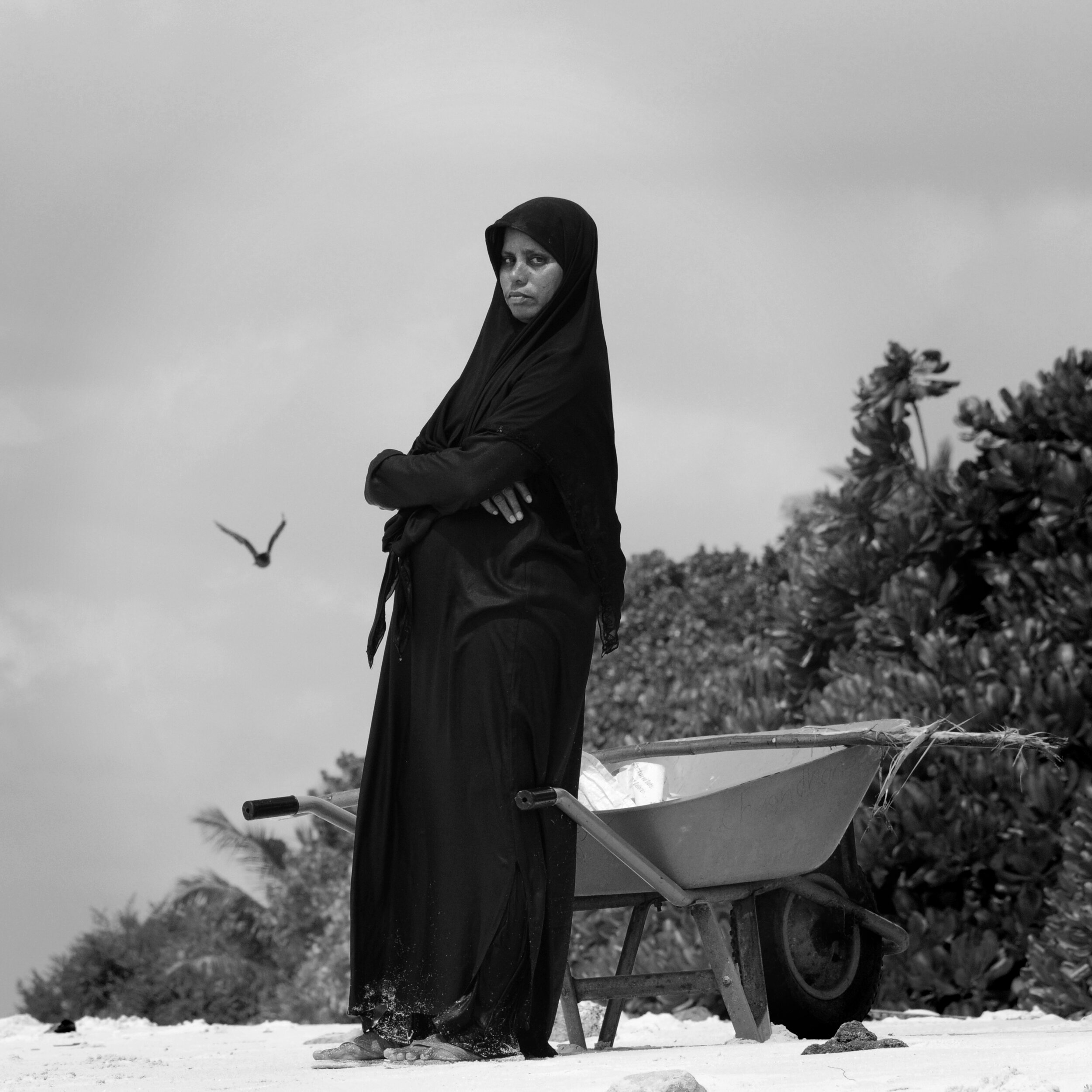 Auntie, Omadhoo