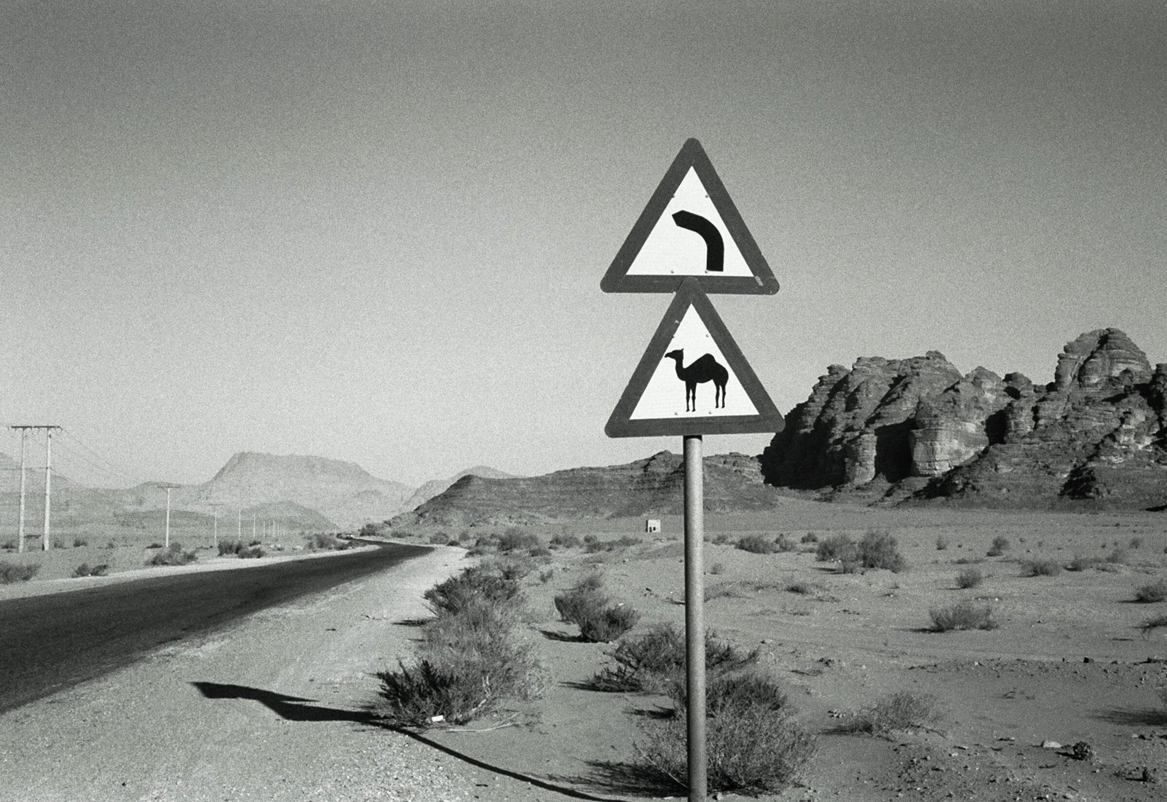 camel sign.jpg