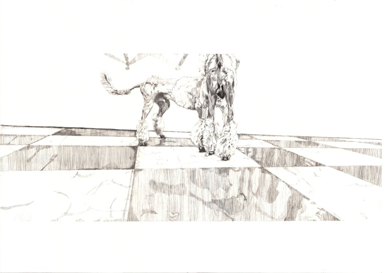 two poodles behind e.jpg