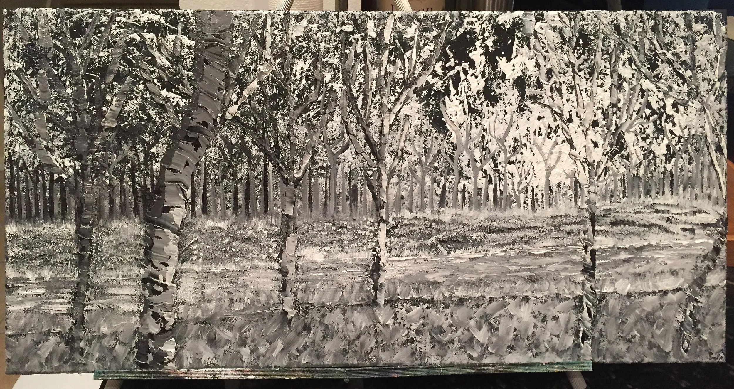 DEEP FORREST AND RIVER. DIFFERENT VALUES AND FLAVORS OF ONLY BLACK AND WHITE.