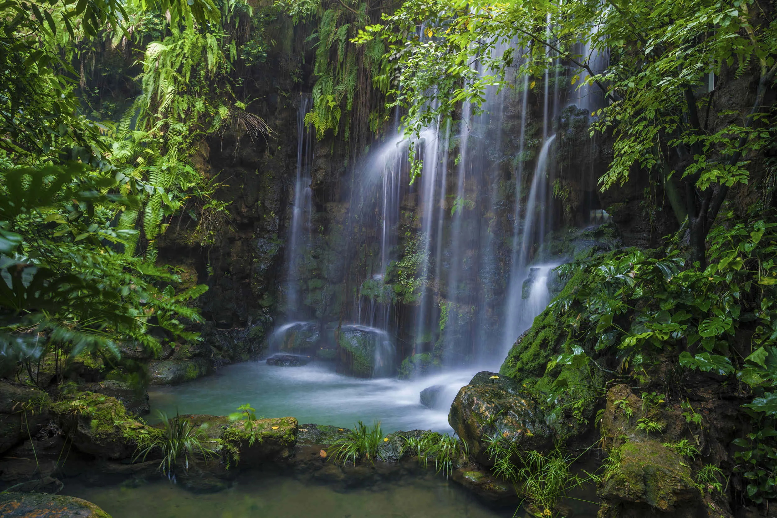 iStock_000078516881_Full.jpg