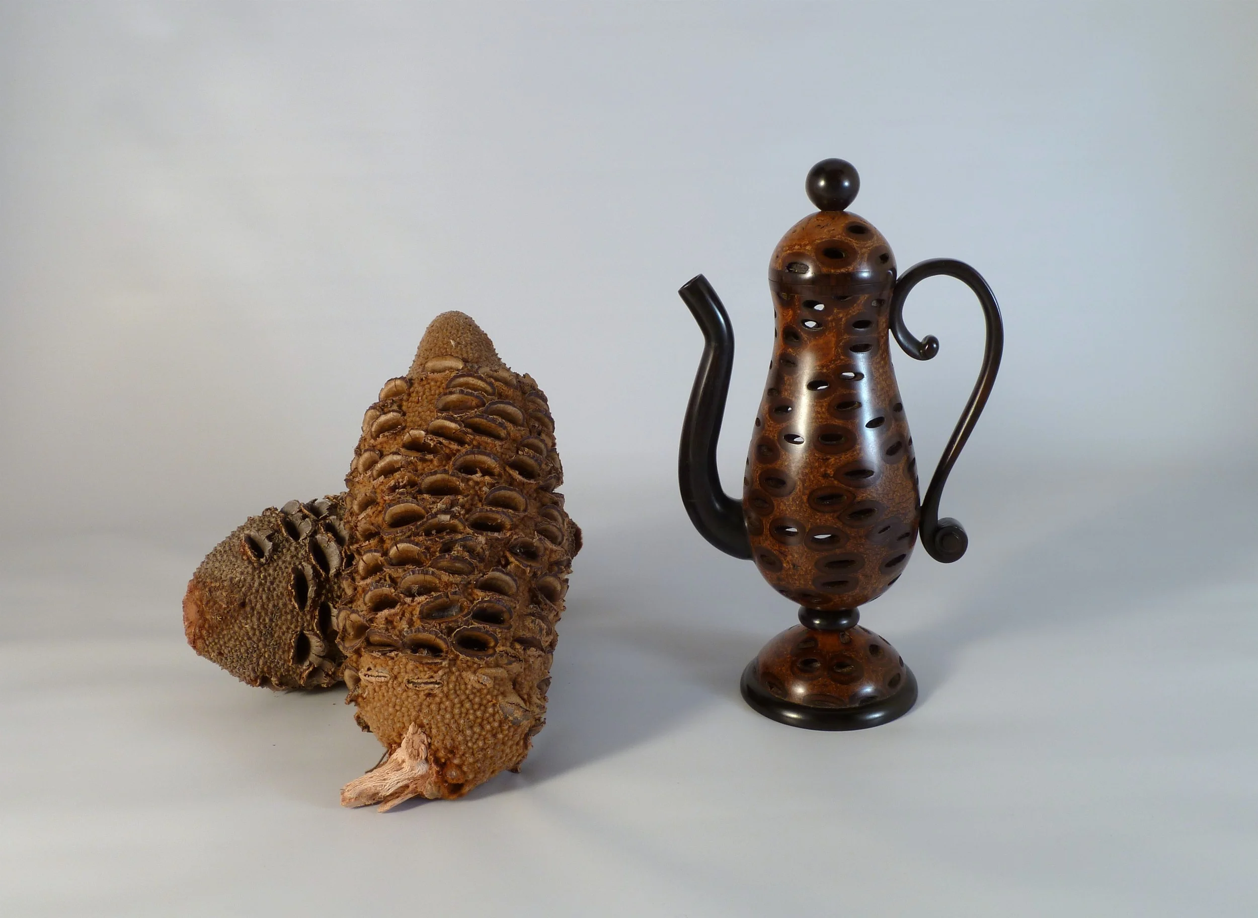 Banksia Tea (with Banksia seed pods) SOLD