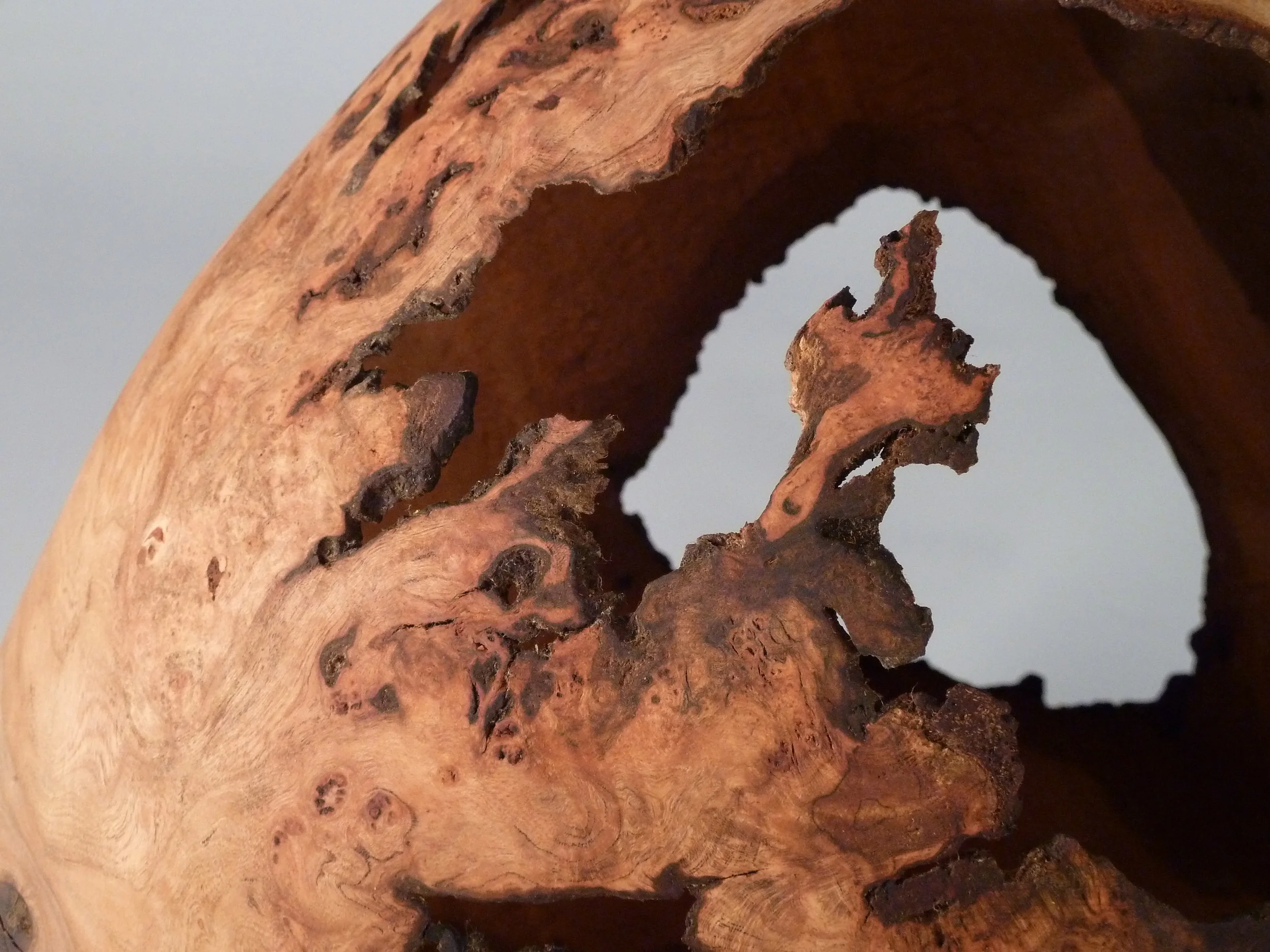 Artifacts: Cherry Burl (detail)