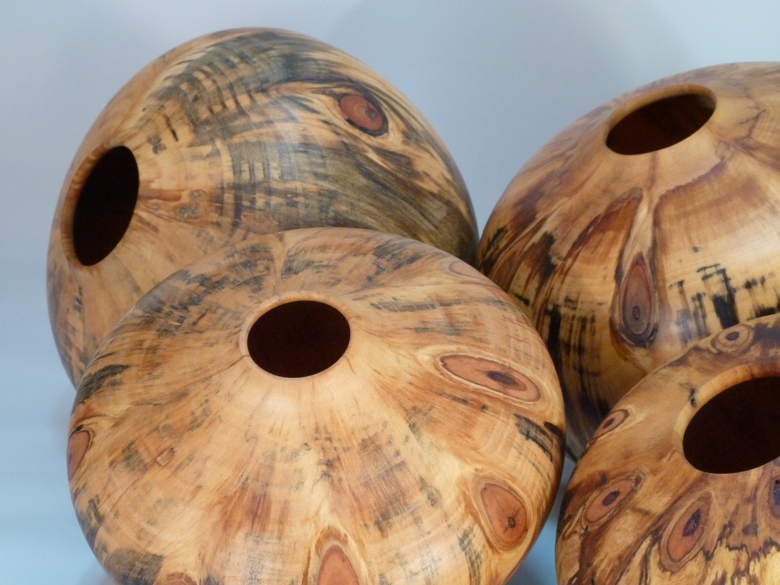 Artifact: Norfolk Island Pine (grouping)