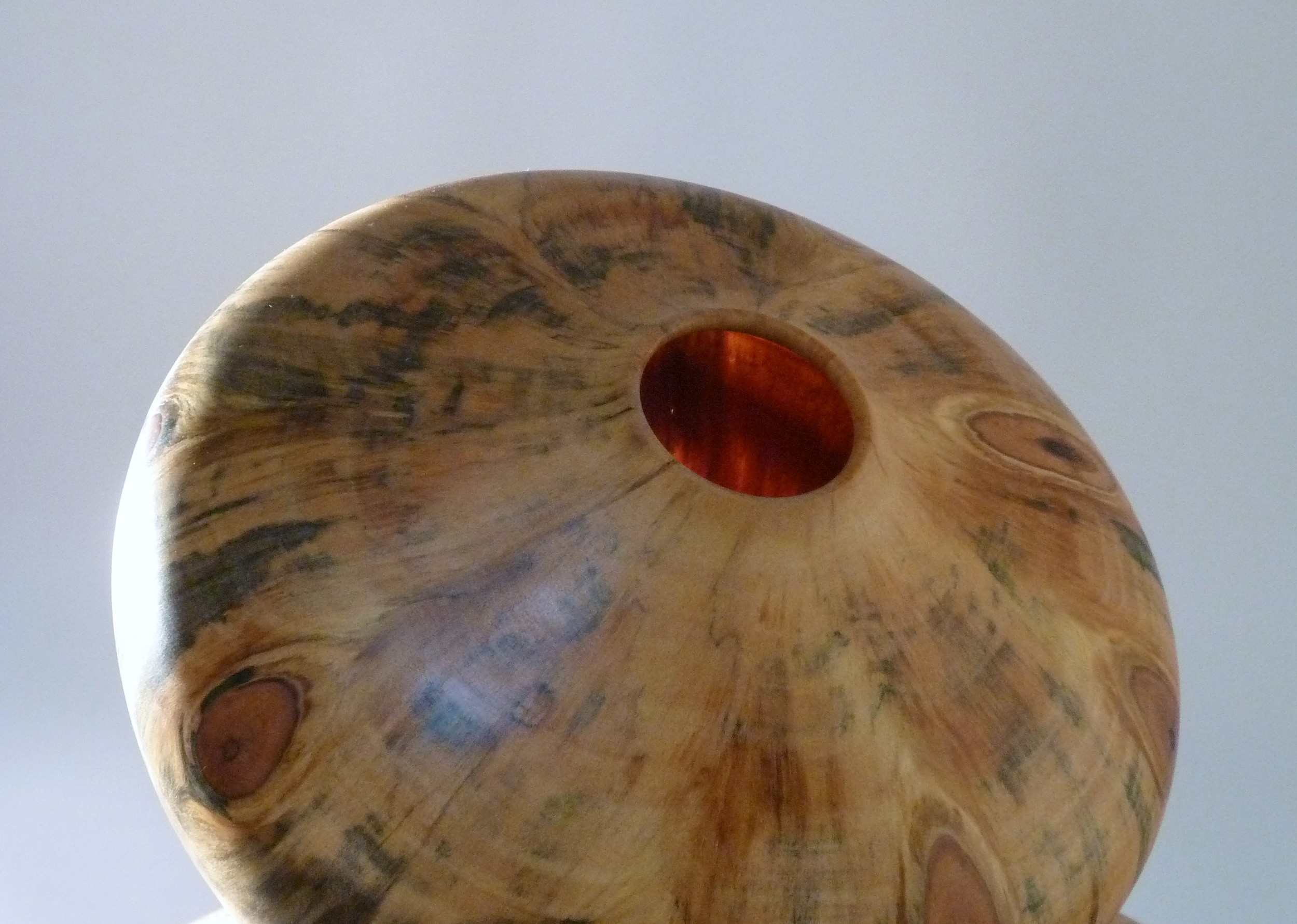 Artifact: Norfolk Island Pine (detail)
