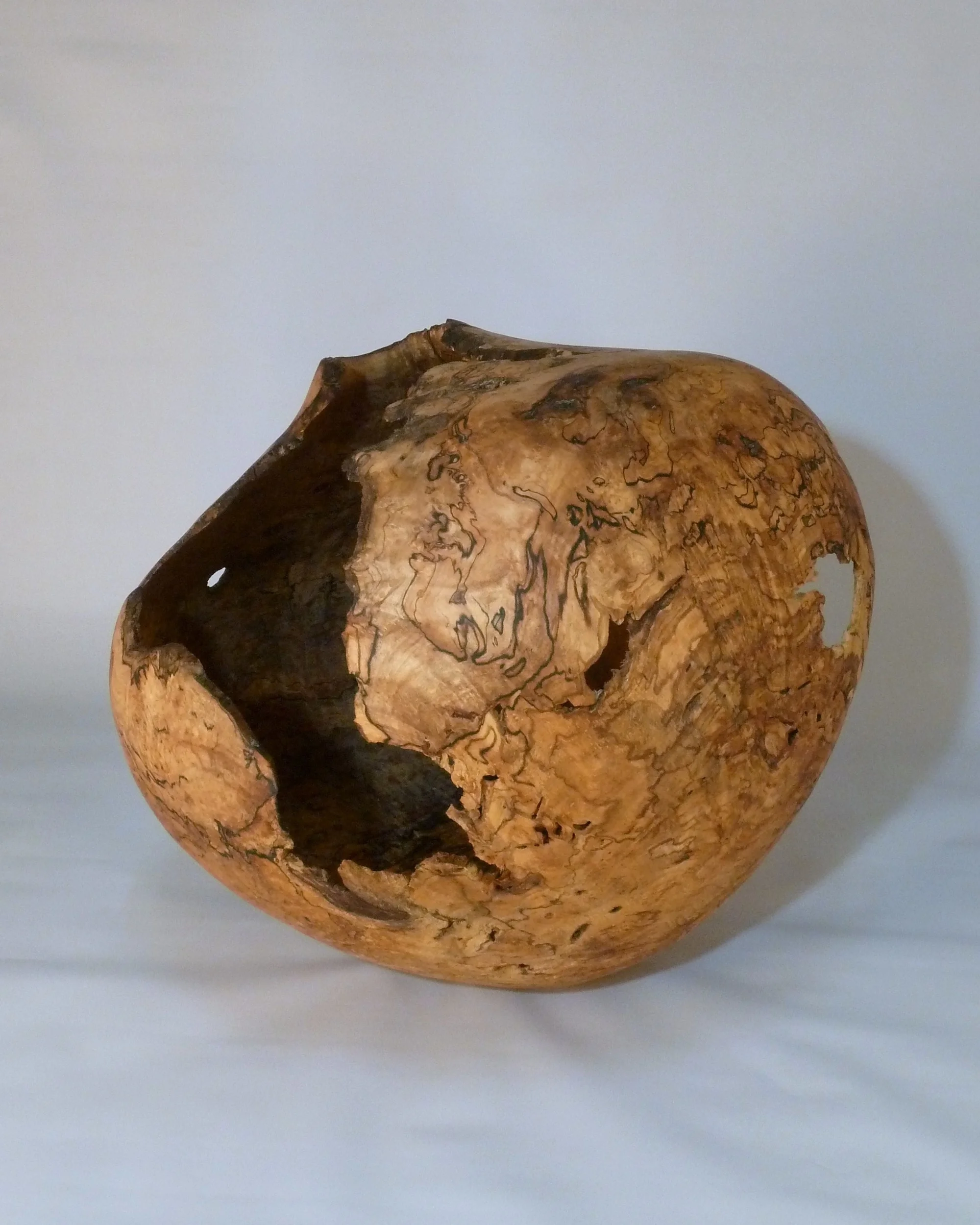 Artifact: Spalted Maple Burl  SOLD