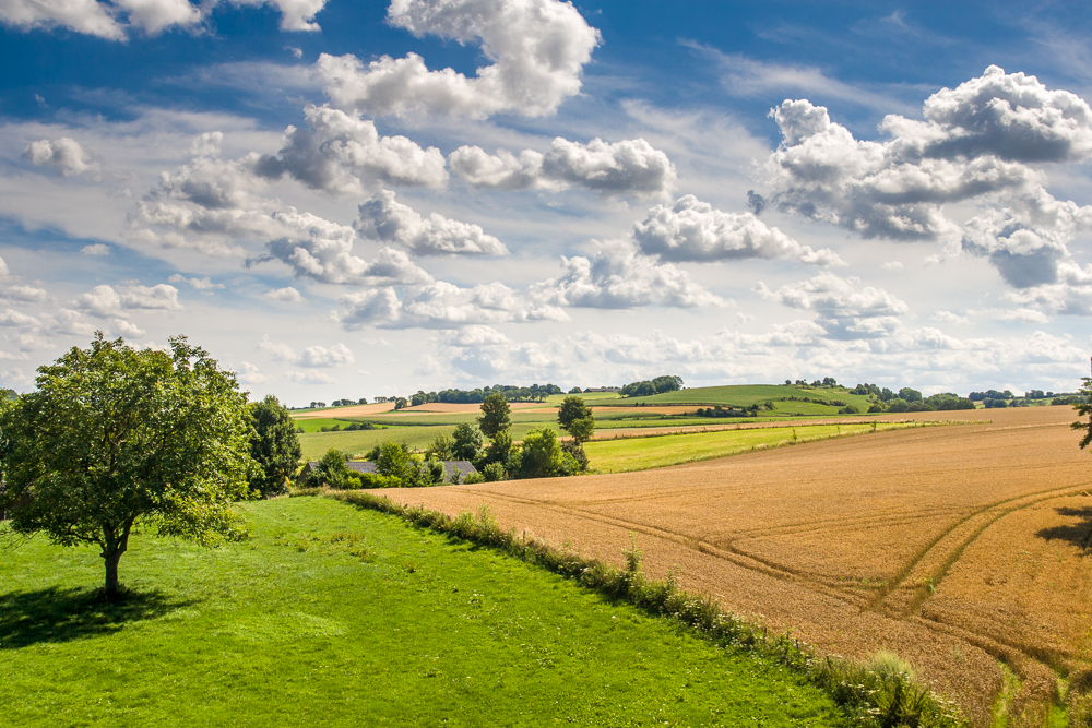 Heuvelachtig landschap Limburg.jpg