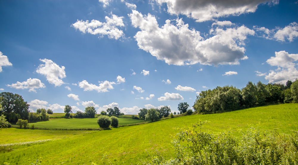 Landschap groen.jpg