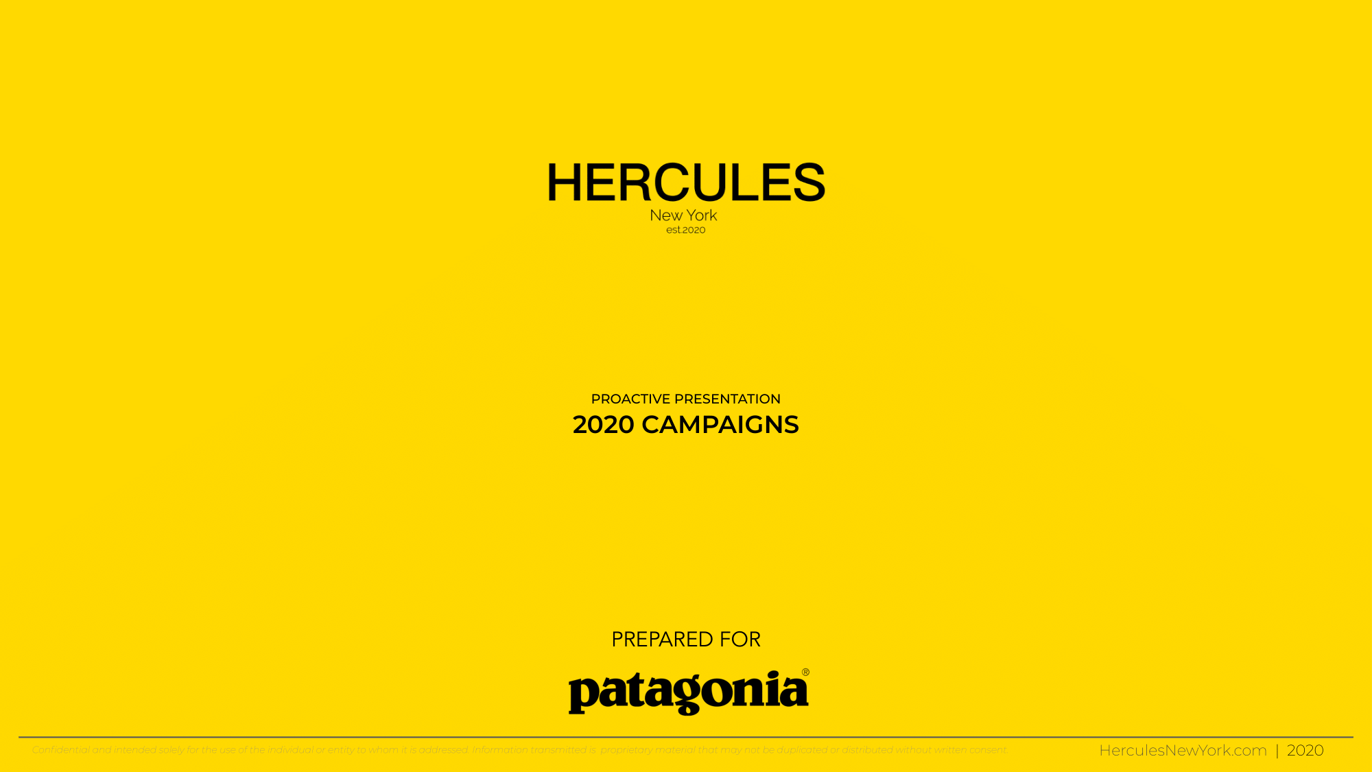 Patagonia x Hercules New York-01.png