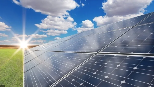 Panels grass and sun.jpg