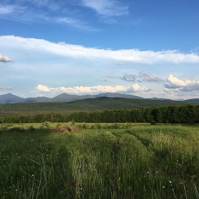 Posting #travelmemories while encouraged to #shelterathome - I fell in love with the #adirondacks this June. .
.
#armchairtravel #upstatenewyork #beautifulplaces #quarantine #Iloveny #travelblogger #writingconference