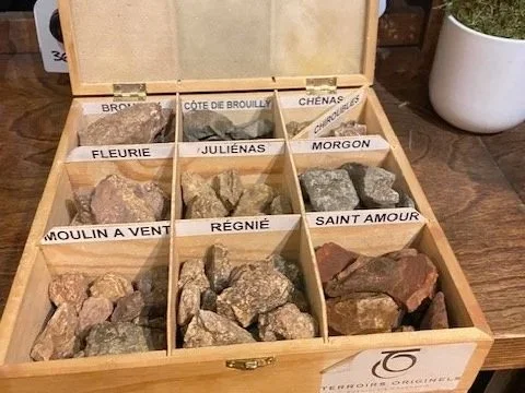 Beaujolais in motion – diversity of expression in a charming wine region