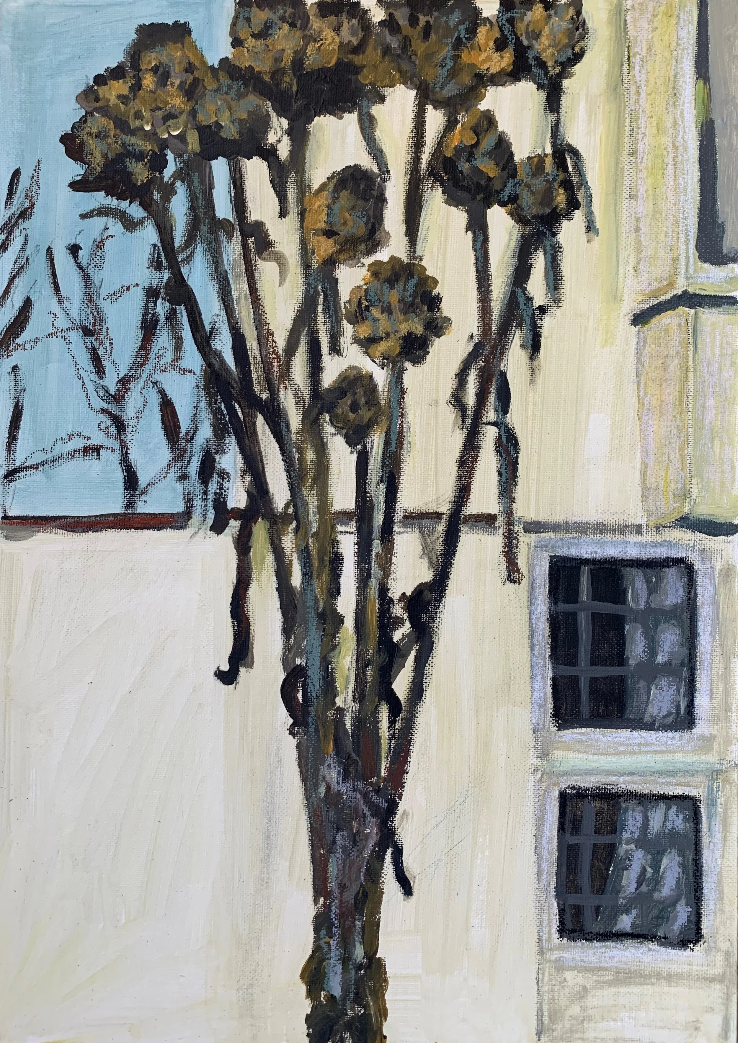 Thistles, winter.jpg