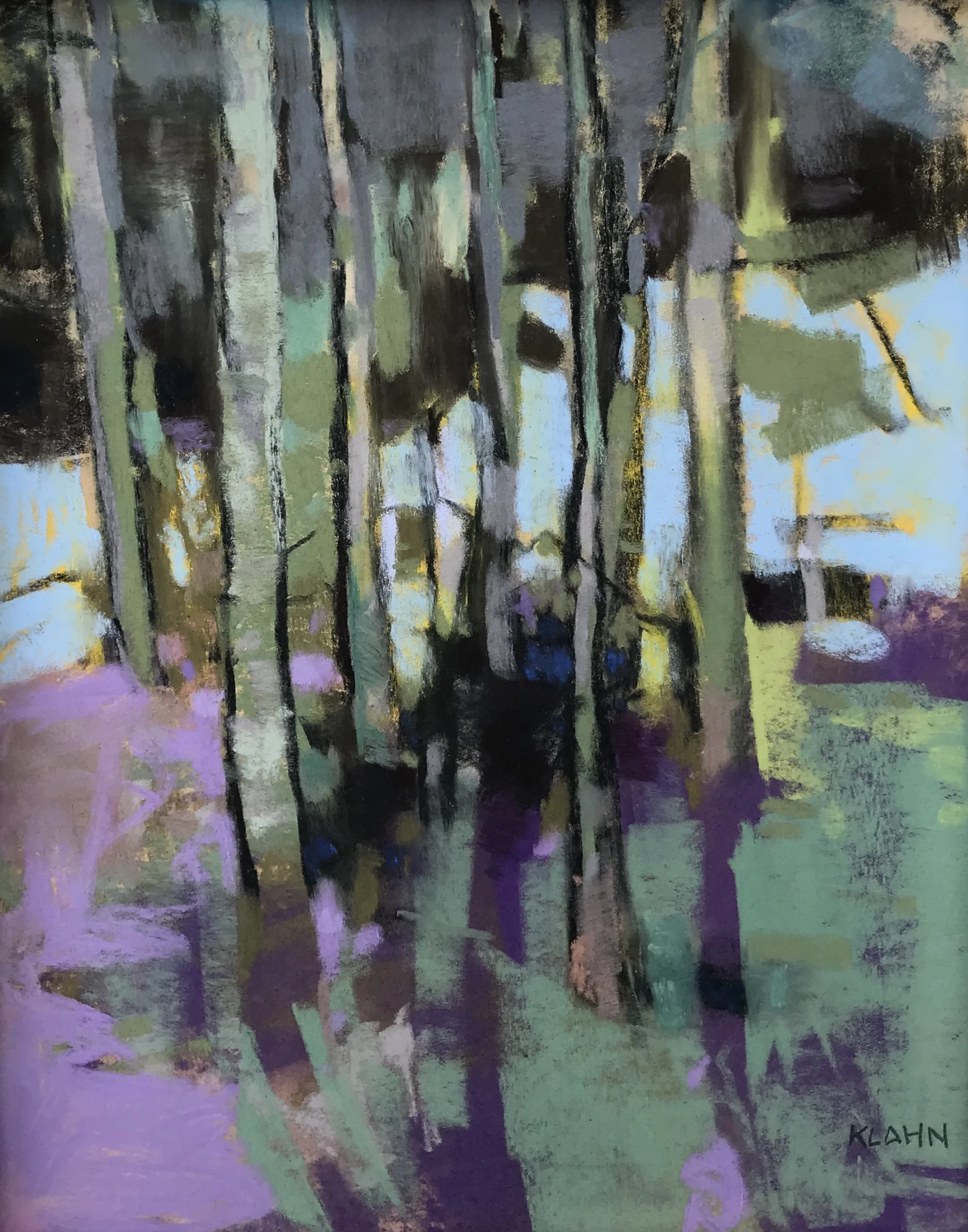 Alders on Winter Ground