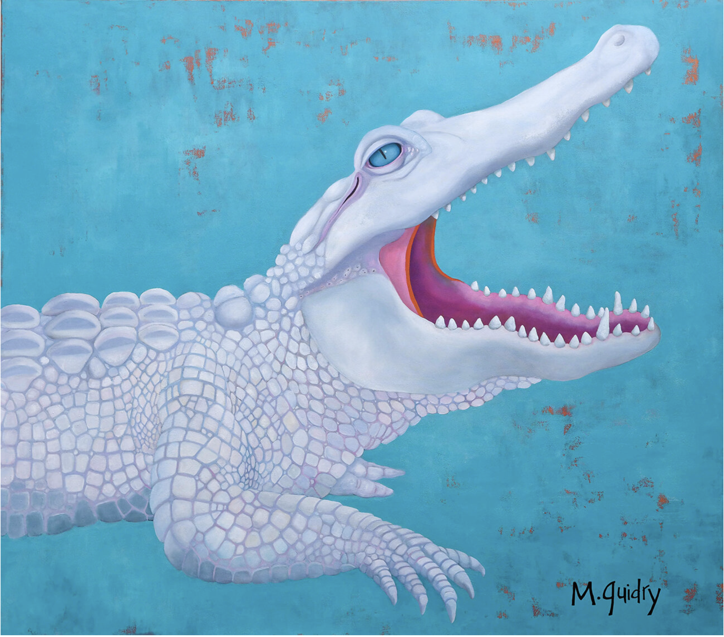 SOLD: Fortune, White Alligator