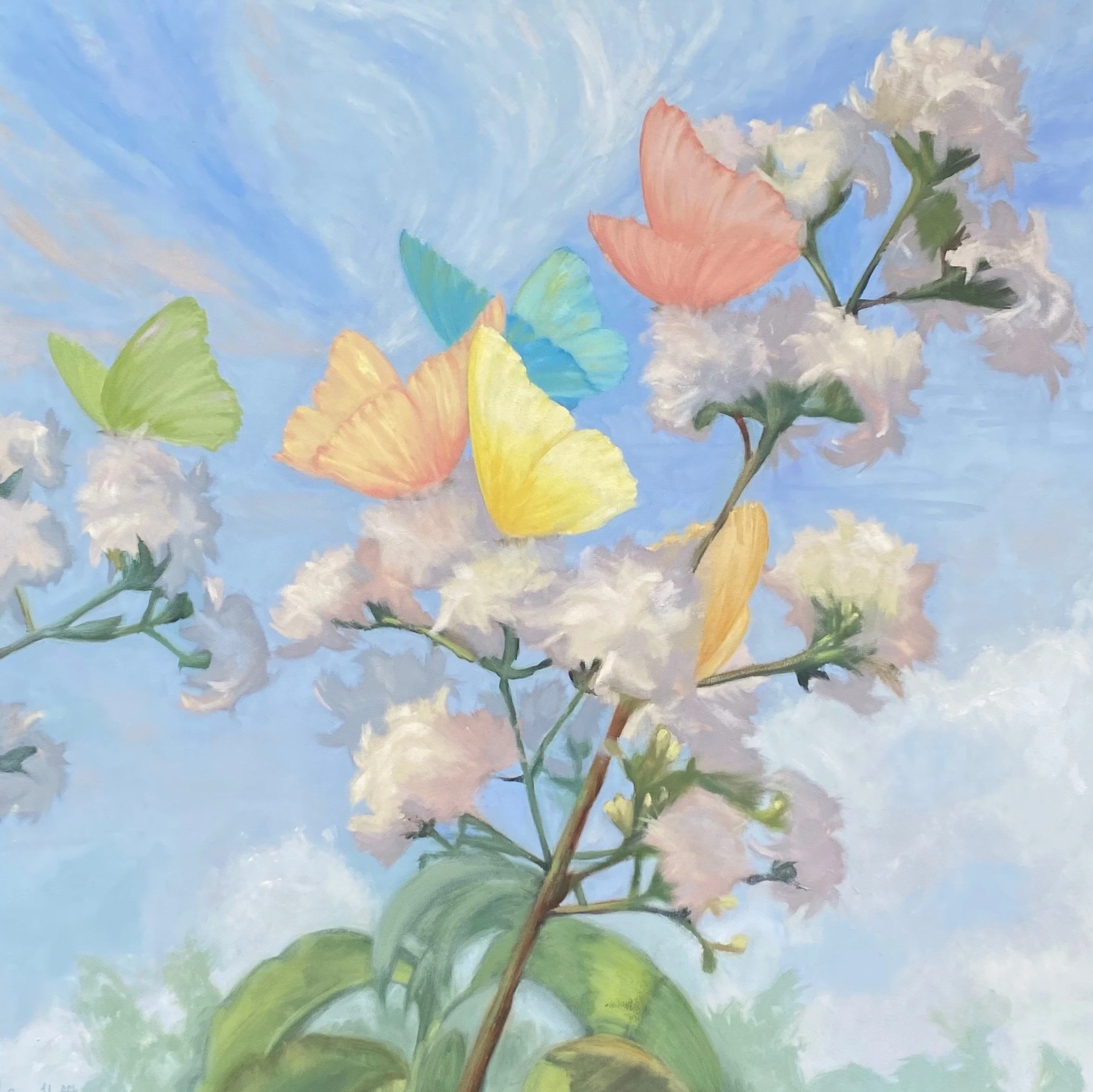 Spring Butterflies