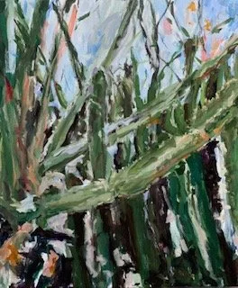 Saguaro Jungle