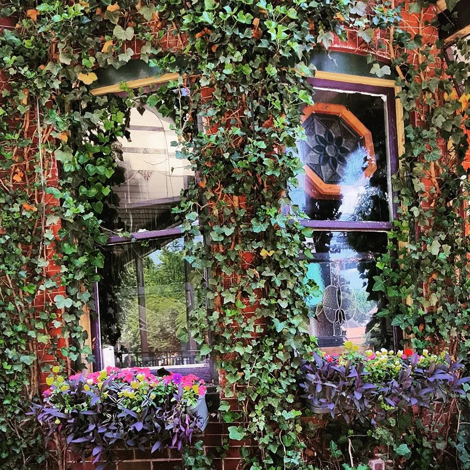 Bloom-where-you-live.jpg