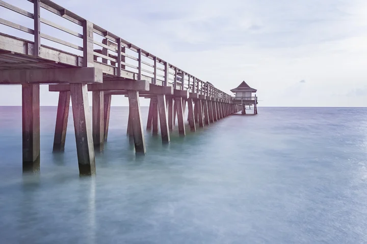 Donna Gioia Volpe, “Daydreaming by the Pier”