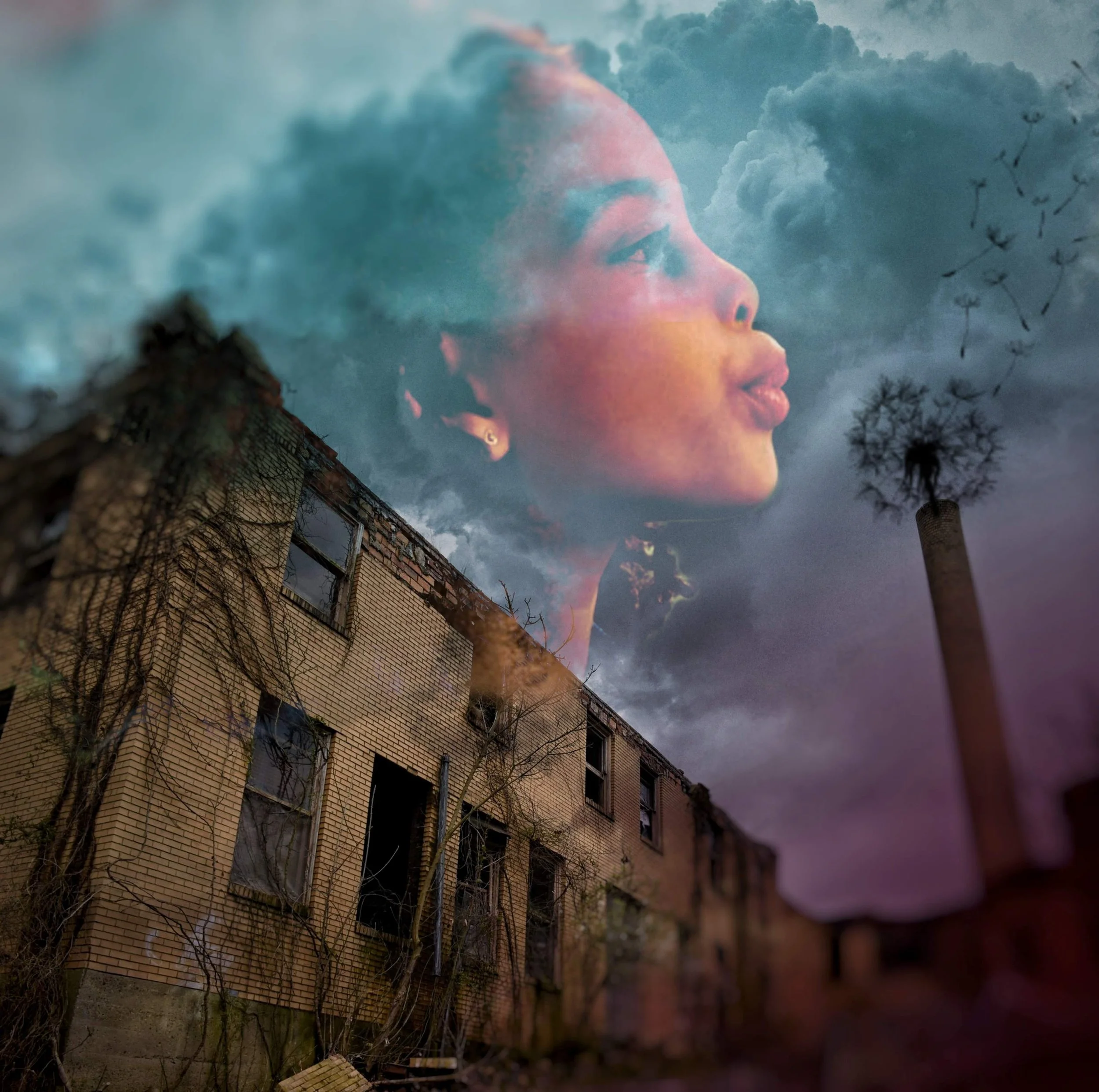 Opening reception: Artist of the Month Zomy