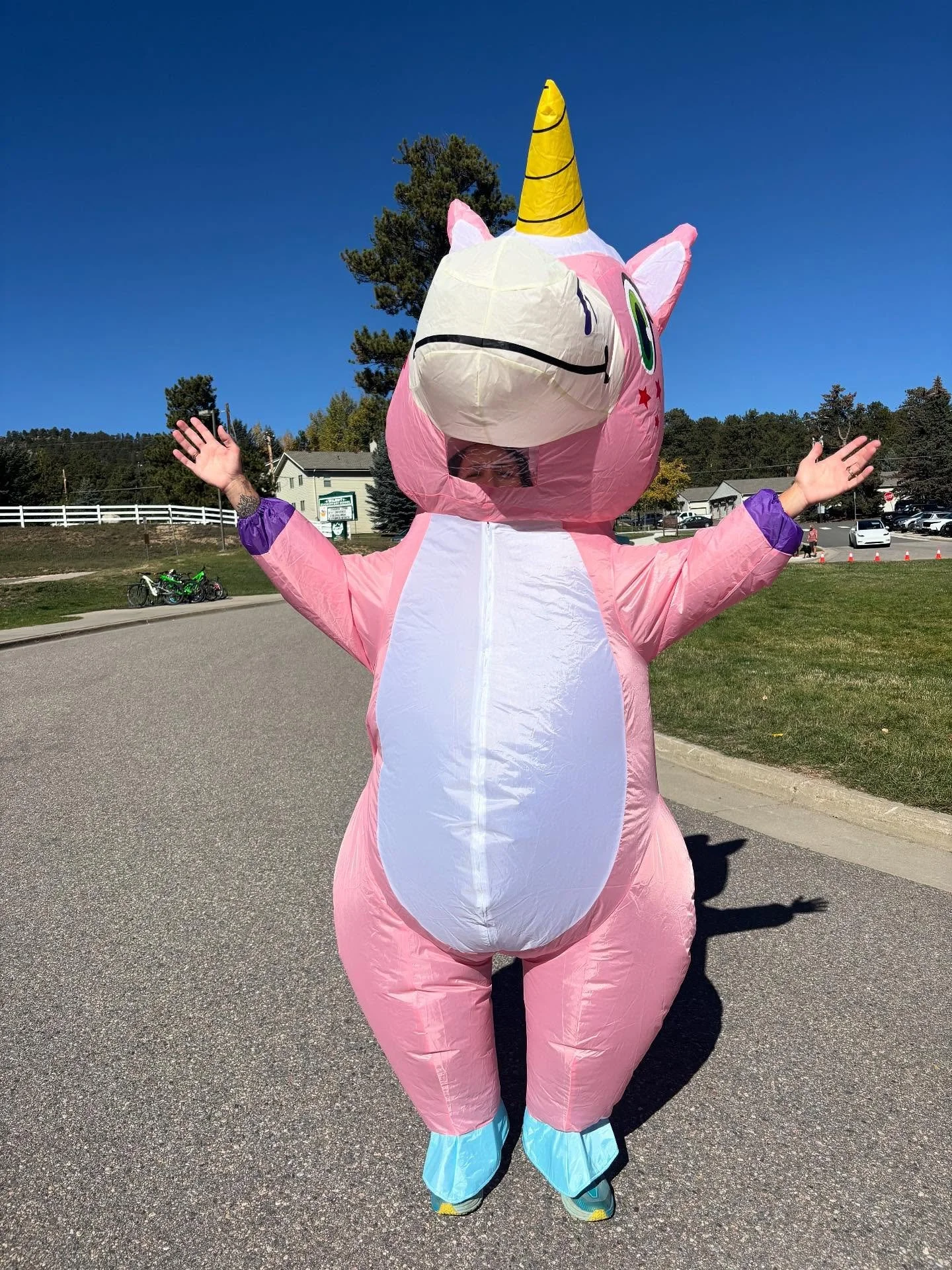 I had never worn one of these inflatable unicorns before and when I saw it on the volunteer sign up genius for the annual fun run at the kids' school, it was my time.

I have been playing with a new concept utilizing our old friend, the Venn diagram.