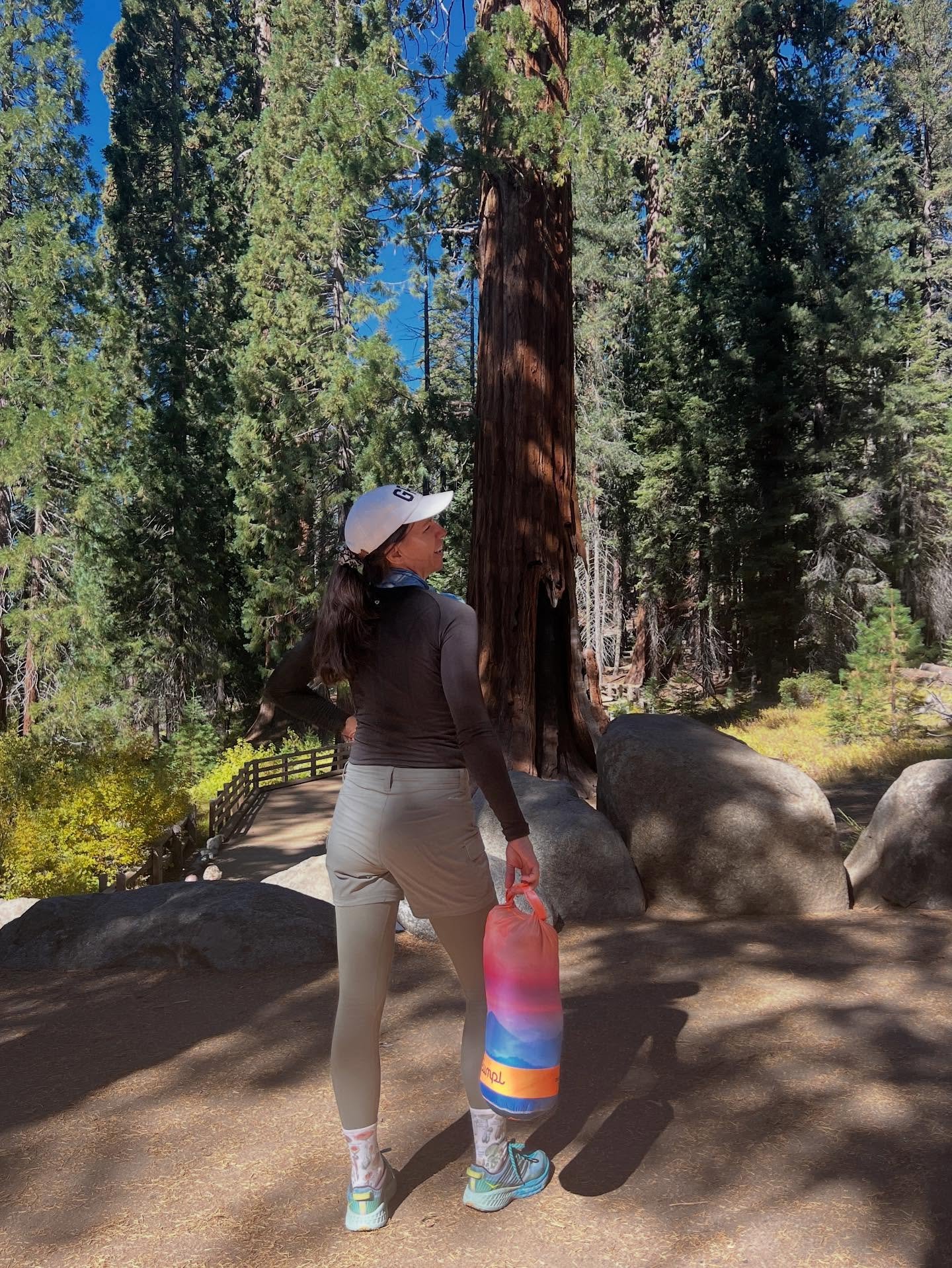 I don't even know how to tell you about a moment on my retreat where @divinebynatureexperiences led us into a Sequoia tree named the &quot;Room Tree&quot; which was hollowed out and still alive. And we all sat there together in reverence. And then, m