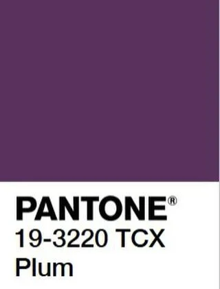 If the UNRAVEL 2026 immersion had a color of the year selected, it would be PLUM. A deep, feminine hue of truth-telling and transformation, where old threads loosen, new wisdom rises, and a woman meets herself in her richest, most powerful form. Roya