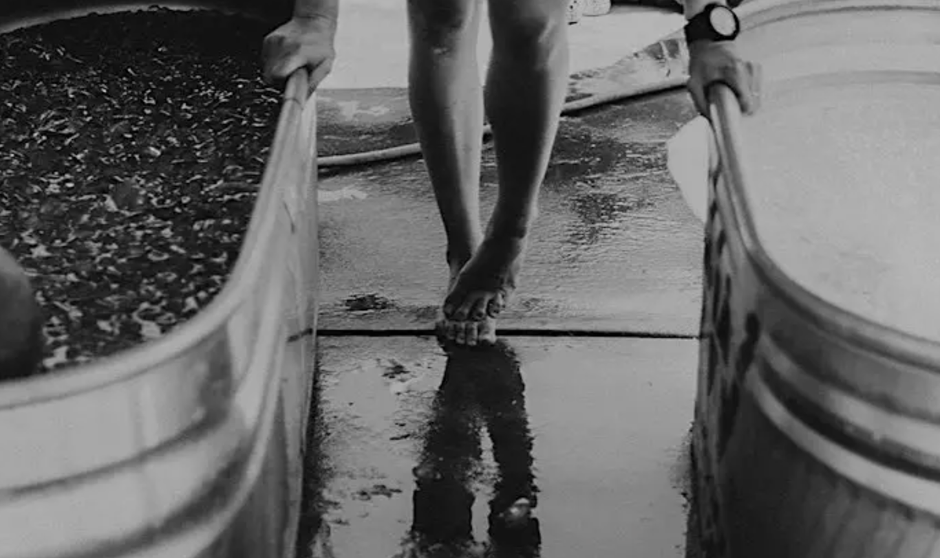 Ice Bath &amp; Sauna with Amy Shenk