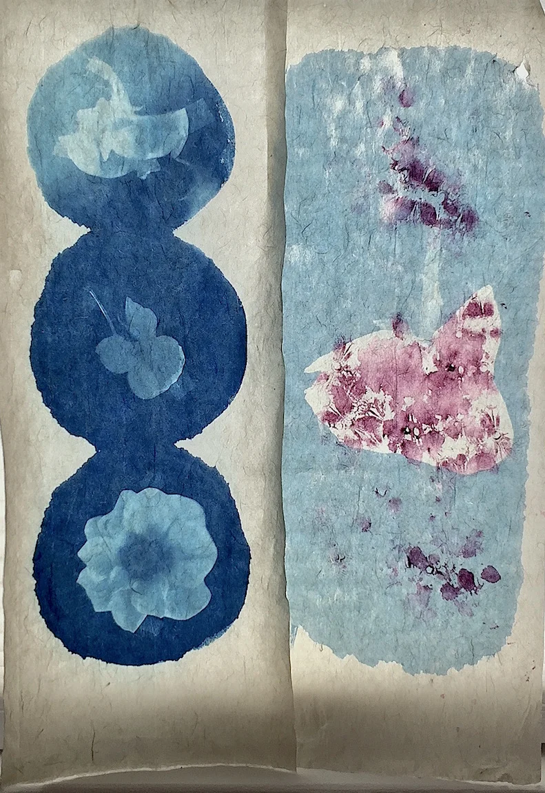 cyanotypes on gampi washi paper