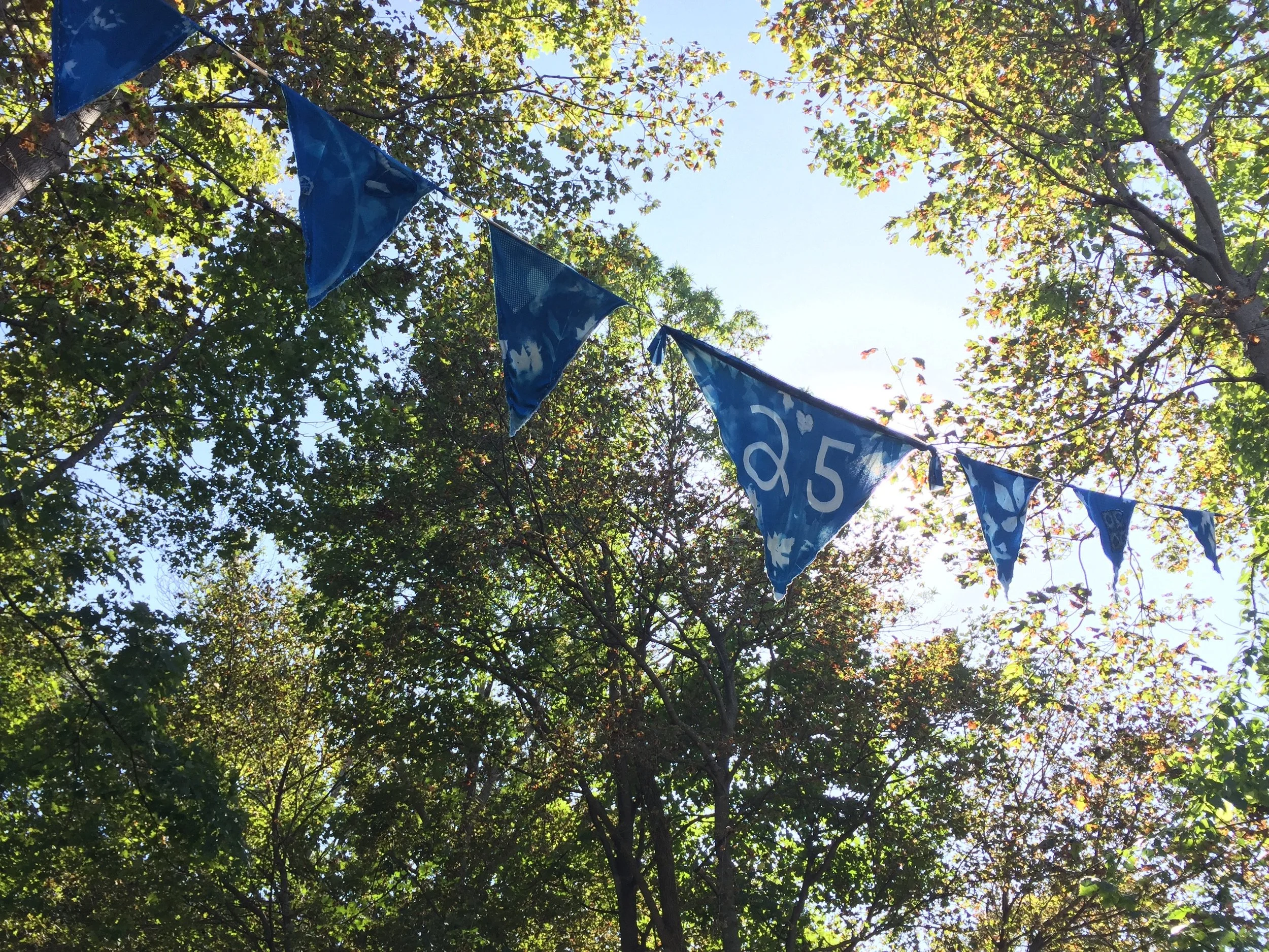 Bikeway Cyanotype Banner
