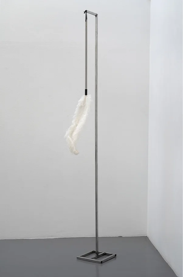 The Cleaning Concept of a Bird Feather. 2,54x25x30 cm. Mixed media.
