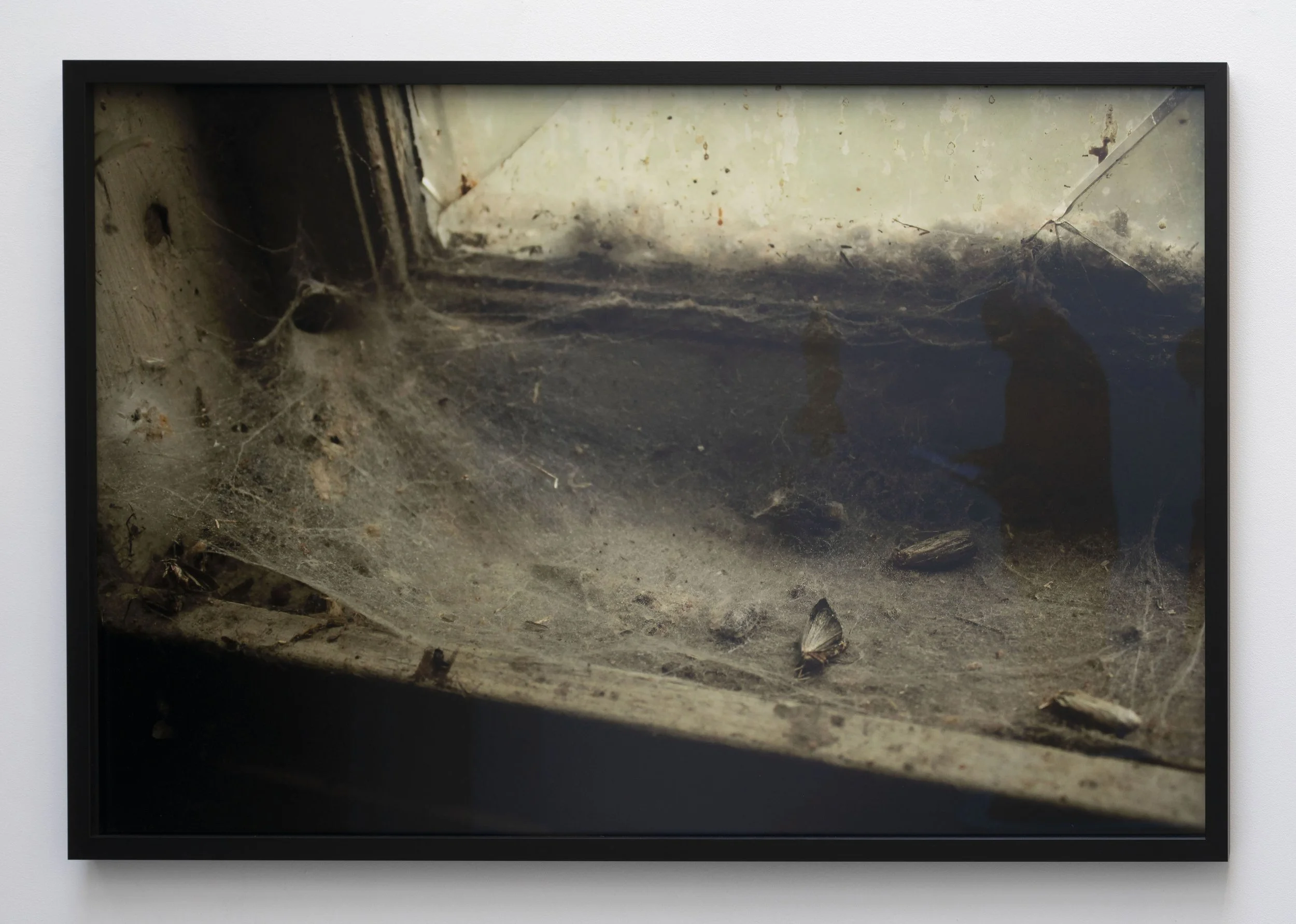   The Naked Comes with the Net      Photo     102,5 x 69 cm 