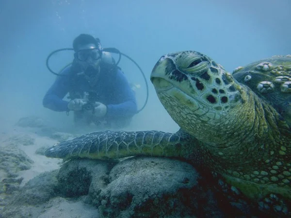 NEWS SHOOTER - To the Explorers: A Q&A with the winners of NatGeo Wild’s short film competition
