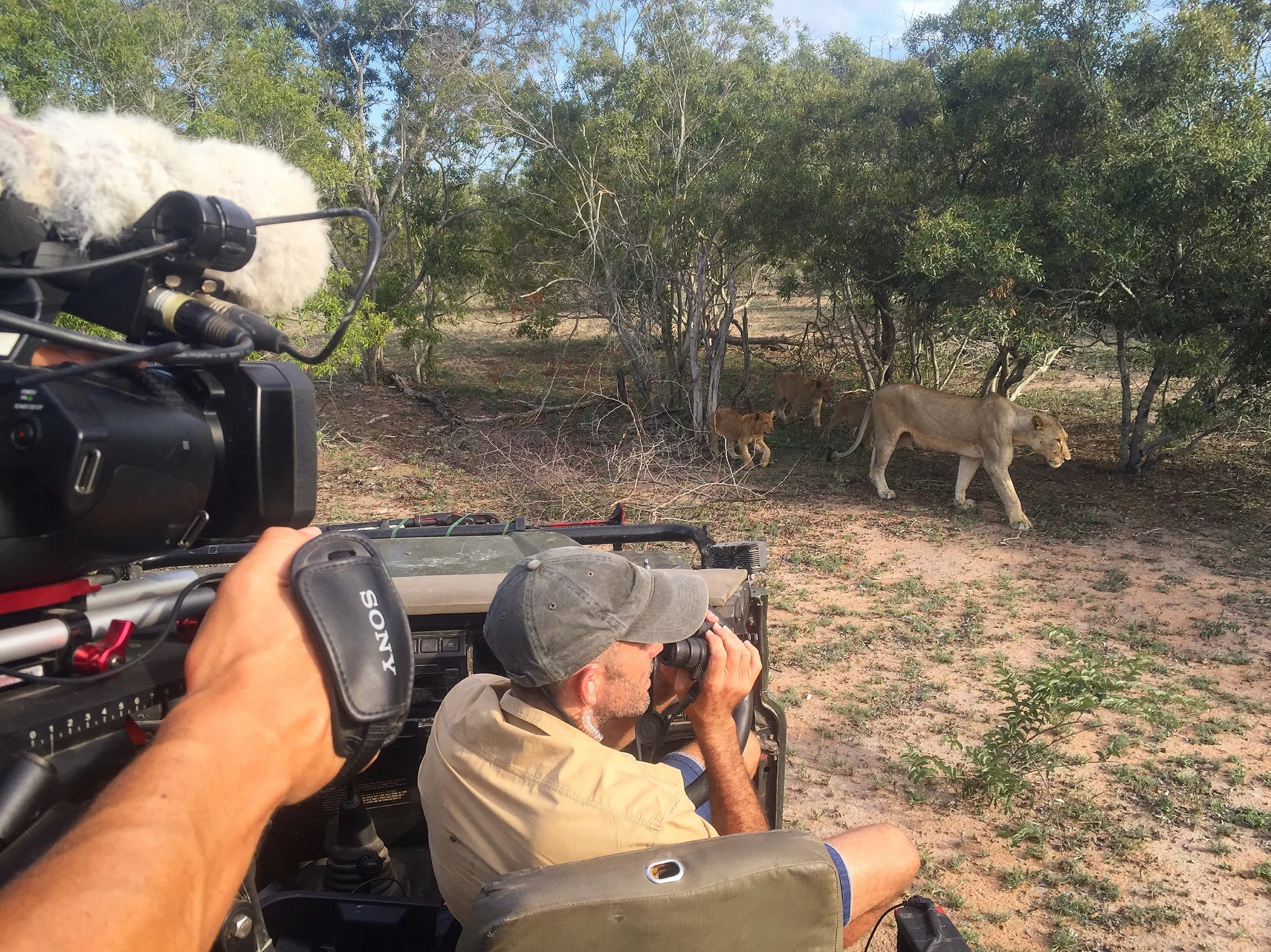 "This ain't your average everyday safari." Justin Grubb joined Nat Geo Wild presenter James Hendry on a live broadcast and found himself surrounded by a pride of lions. 