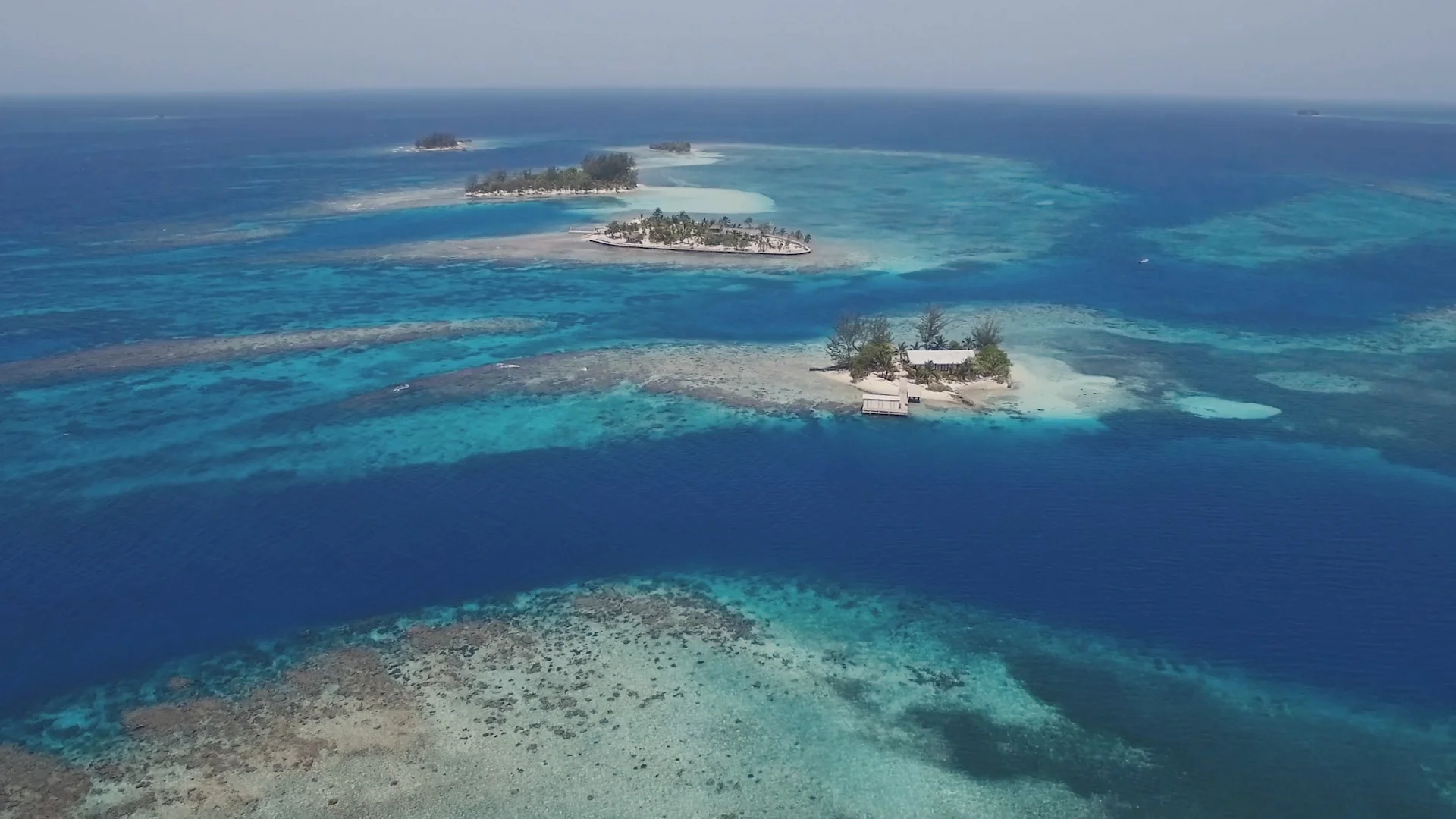 Filming Meso-American Reef in Honduras