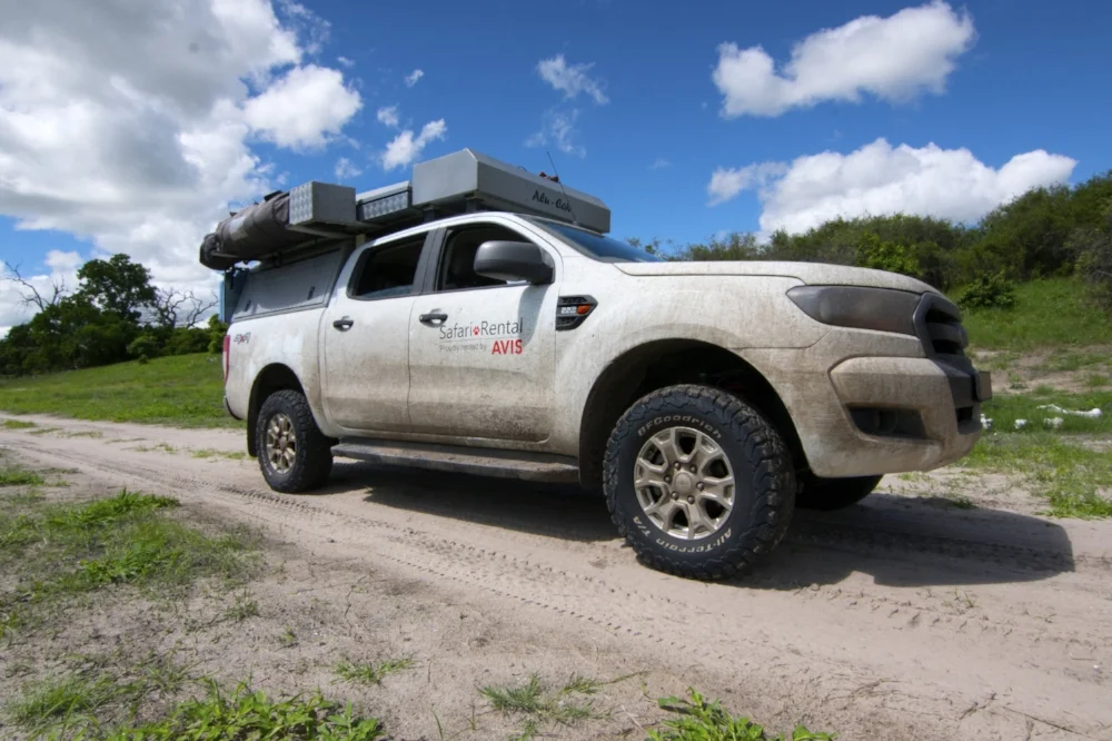 Safaris don't need to be expensive, grab your own truck and go!