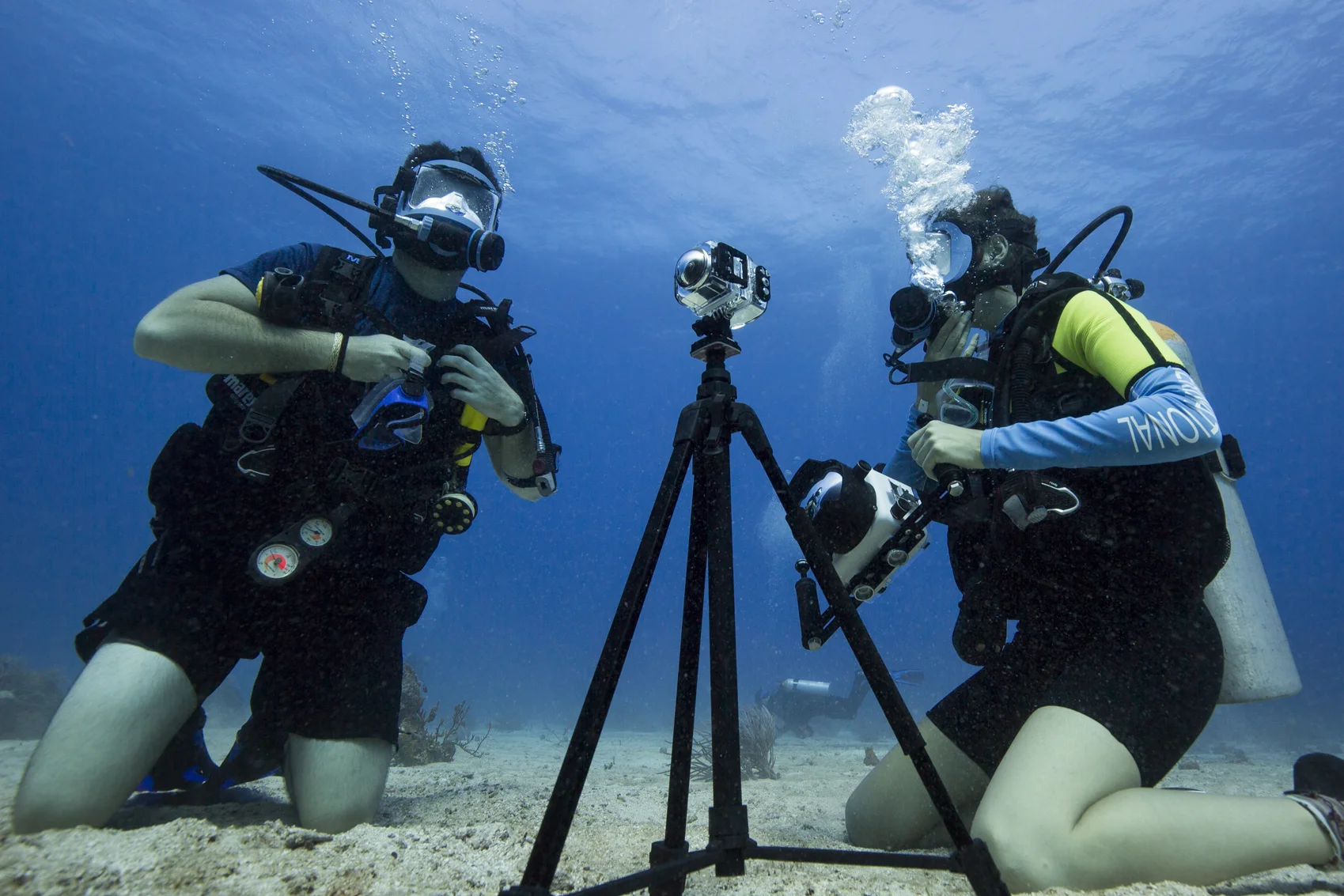 Dive In! 360 video